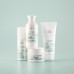 NUTRICURLS Waves Shampoo Švelnus šampūnas banguotiems plaukams, 250ml