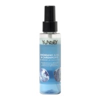 Blueberries & Cardamon Biphasic Conditioner Mėlynių aromato dvifazis kondicionierius, 100ml 
