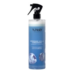 Blueberries & Cardamon Biphasic Conditioner Mėlynių aromato dvifazis kondicionierius, 500ml 