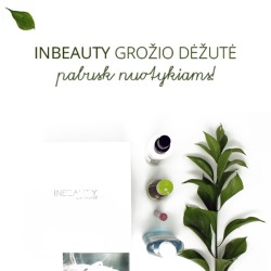Grožio dėžutė 4 